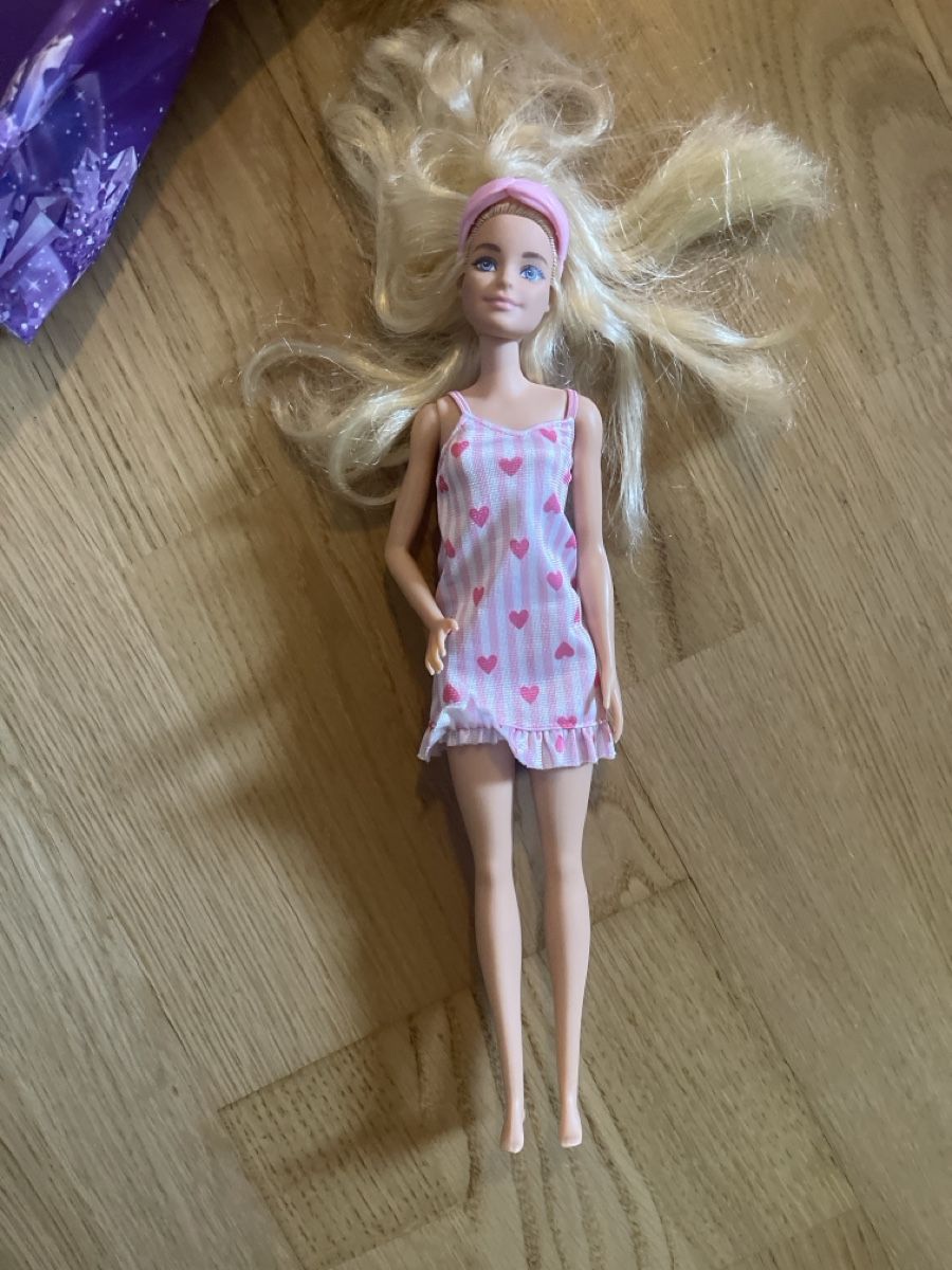 Bambole: Barbie Camper mit Puppen mit Gebrauchsspuren – Usato da Greifensee venduto da agi_rsl2 5