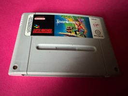 THE PAGEMASTER SPIEL FÜR SUPERNINTENDO