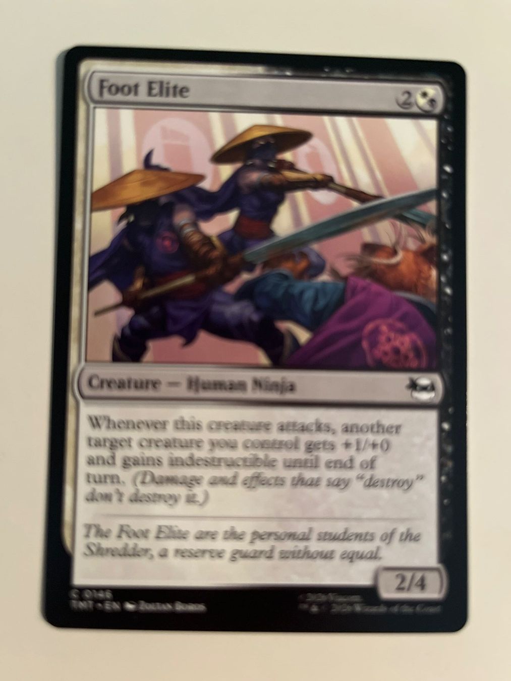 Magic The Gathering Carte collezionabili: 1 x Foot Elite - Magic: The Gathering - MtG – Usato da Kriens venduto da Shadi1980