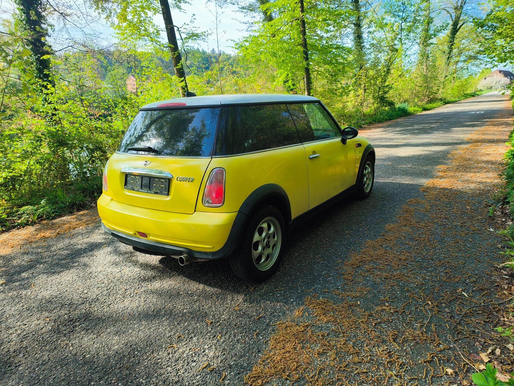 Mini Autos: Mini Cooper.in Gelb.mit MFK. – D'occasion à Fulenbach par Elektronik 7