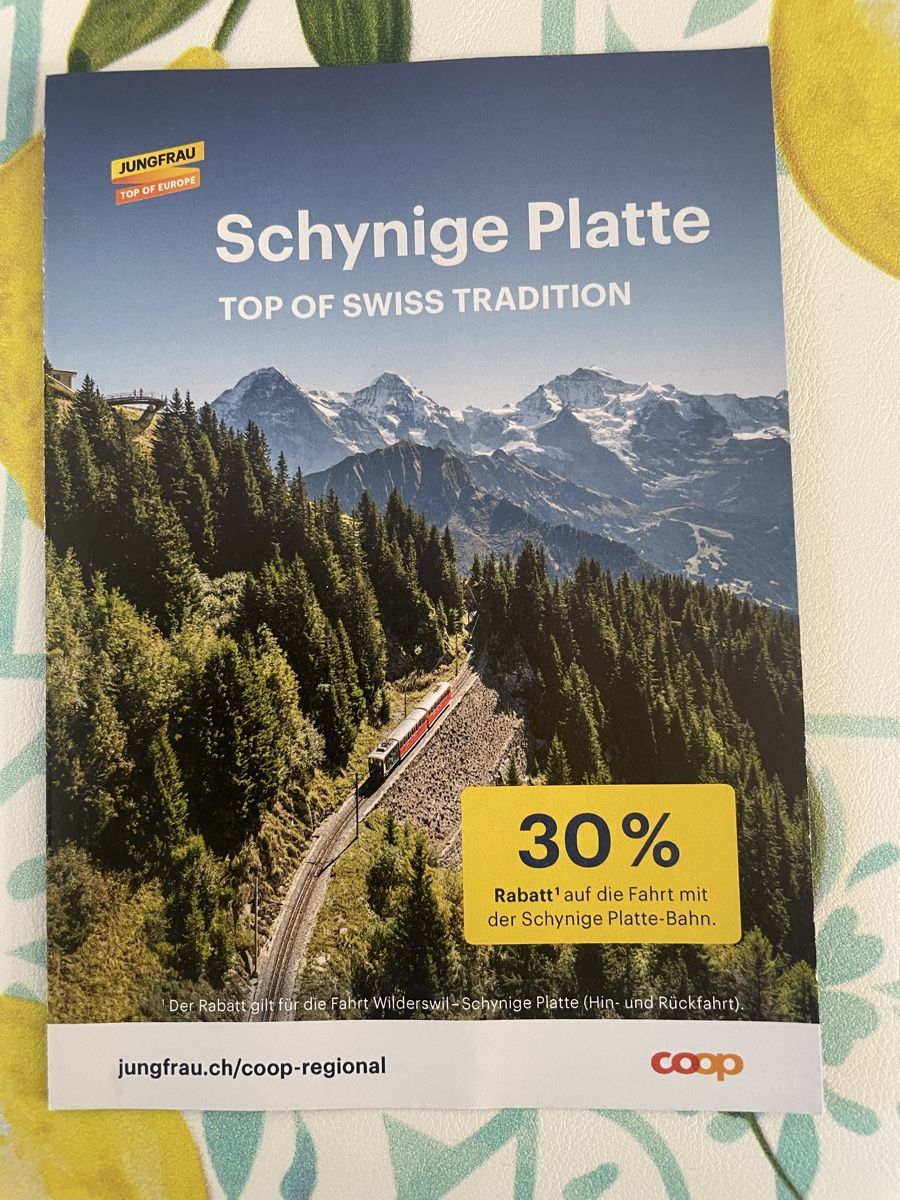 Bons: Schynige Platte Ausflugsticket 30%Rabatt – Neuf (Voir description) à Münsingen par nerv11