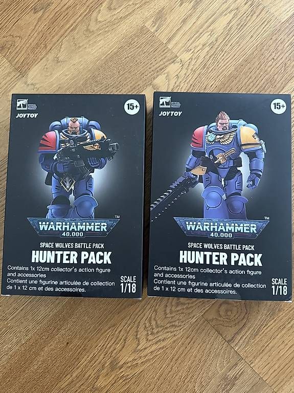Statuette: Warhammer 40 K Spacewolves – Usato da Pratteln venduto da new_sg89