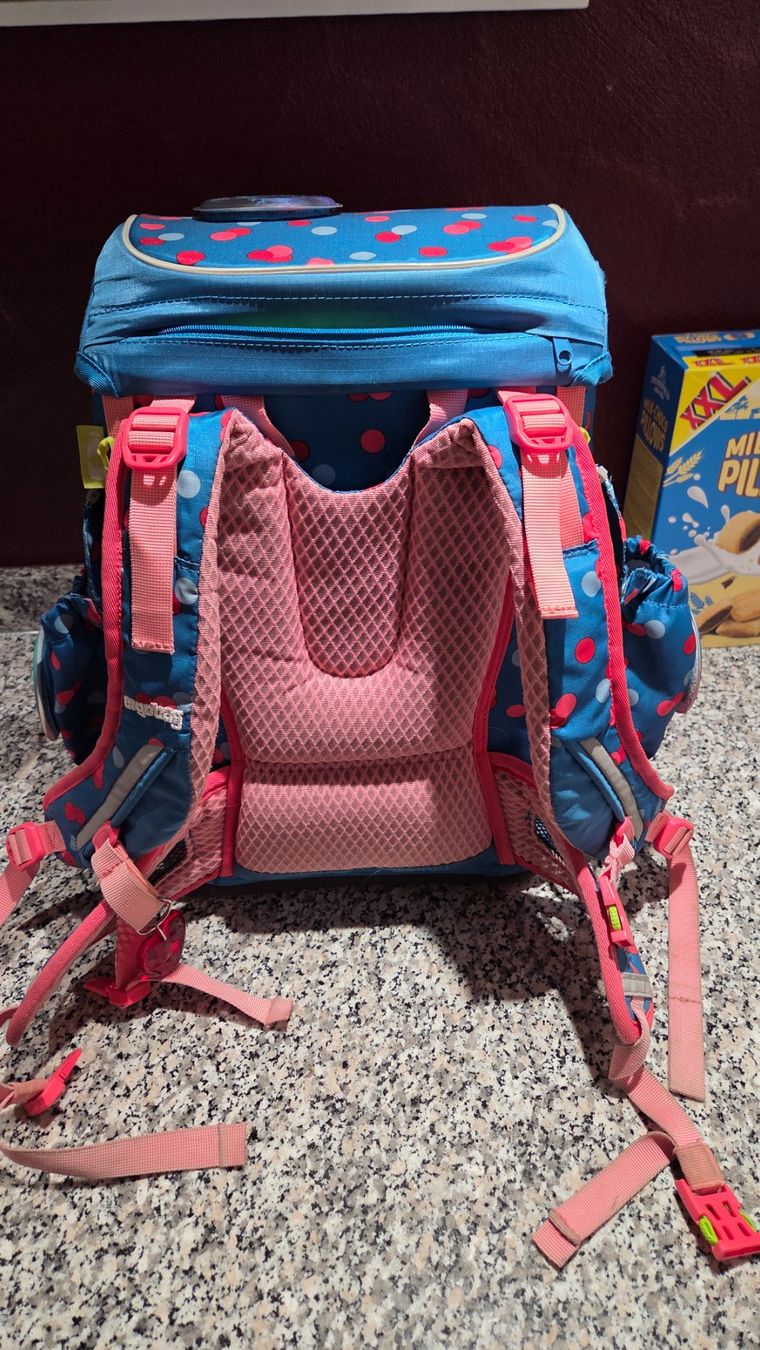 Ergobag Zaini: Ergobag Schulranzen Set Pink/Blau gebraucht – Usato da Hittnau venduto da mzee23 1