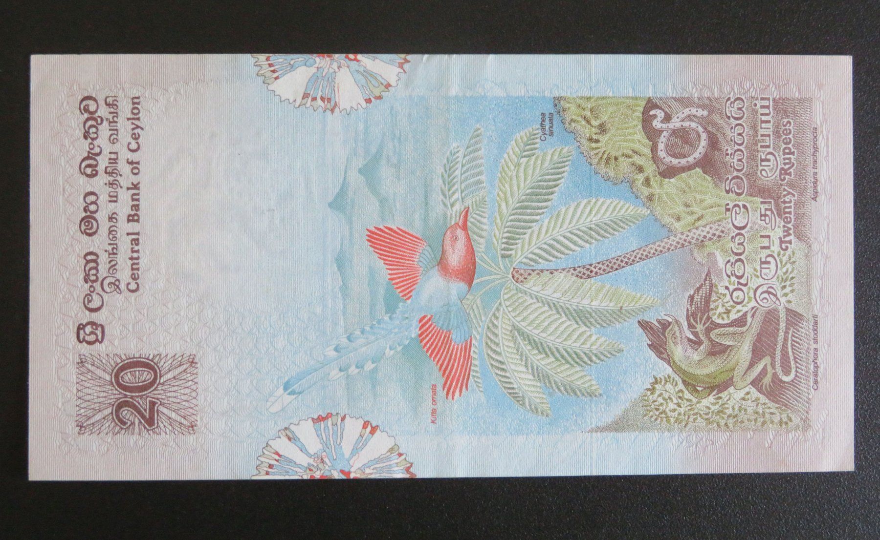 Banconote: Banknote Ceylon 20 Rupees, 1979 – Usato da Oberriet SG venduto da Manick 1