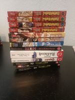 Manga XXL Starter Paket: Seraph, Buster Keel, UQ Holder u.a
