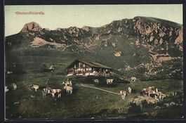 Zweisimmen, Simmenthaleralp, Almhütte m