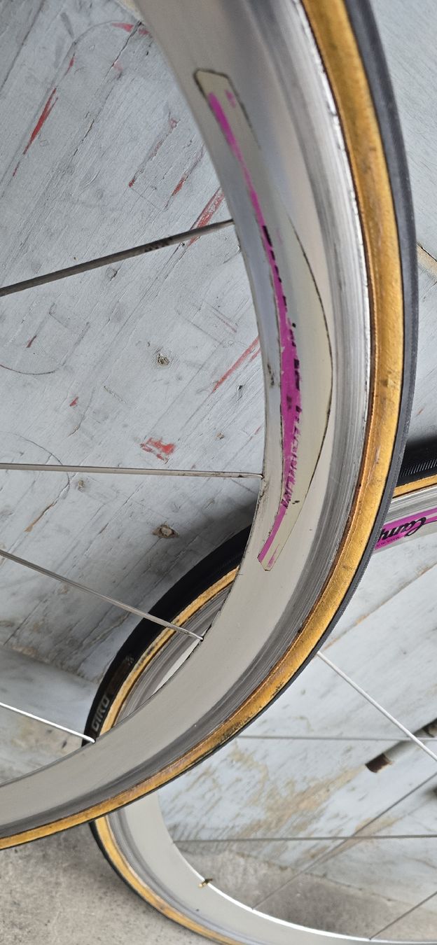 Campagnolo Pezzi di ricambio: Campagnolo Shamal Titanium – Usato da basel venduto da Propain 6