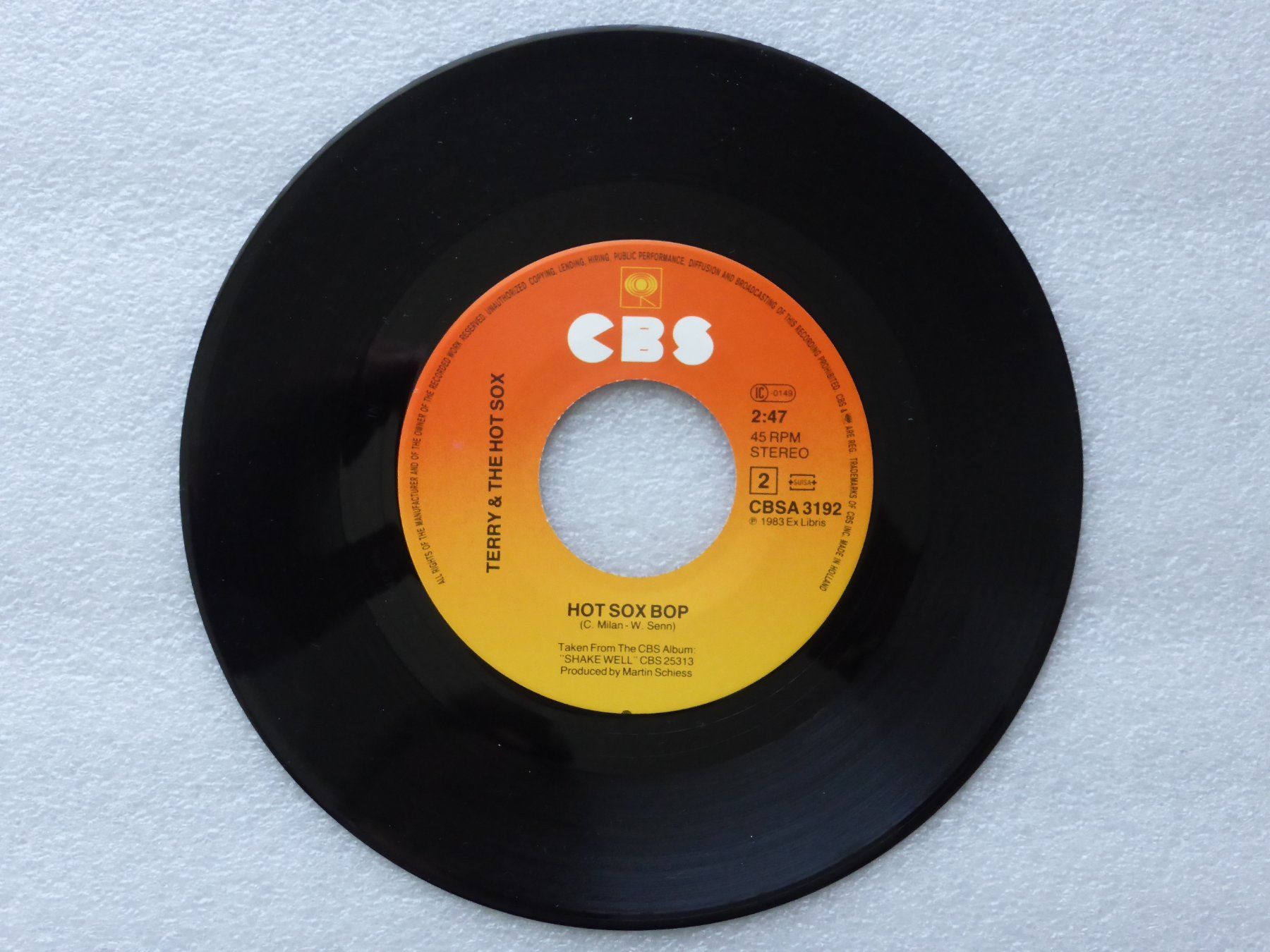 Dischi in vinile: Vinyl Single  TERRY and THE HOT SOX – Usato da Küssnacht am Rigi venduto da Mondkinder 2