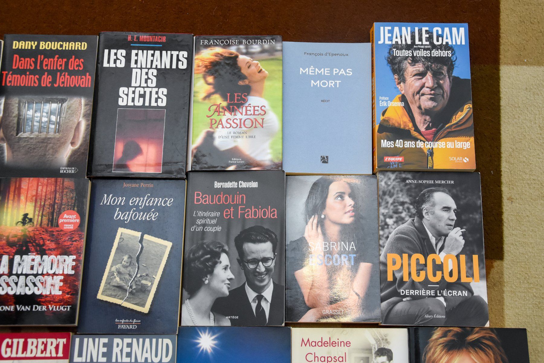 Bücher: Lot 21 livres – Gebraucht aus Belmont-sur-Yverdon von bichet02 2
