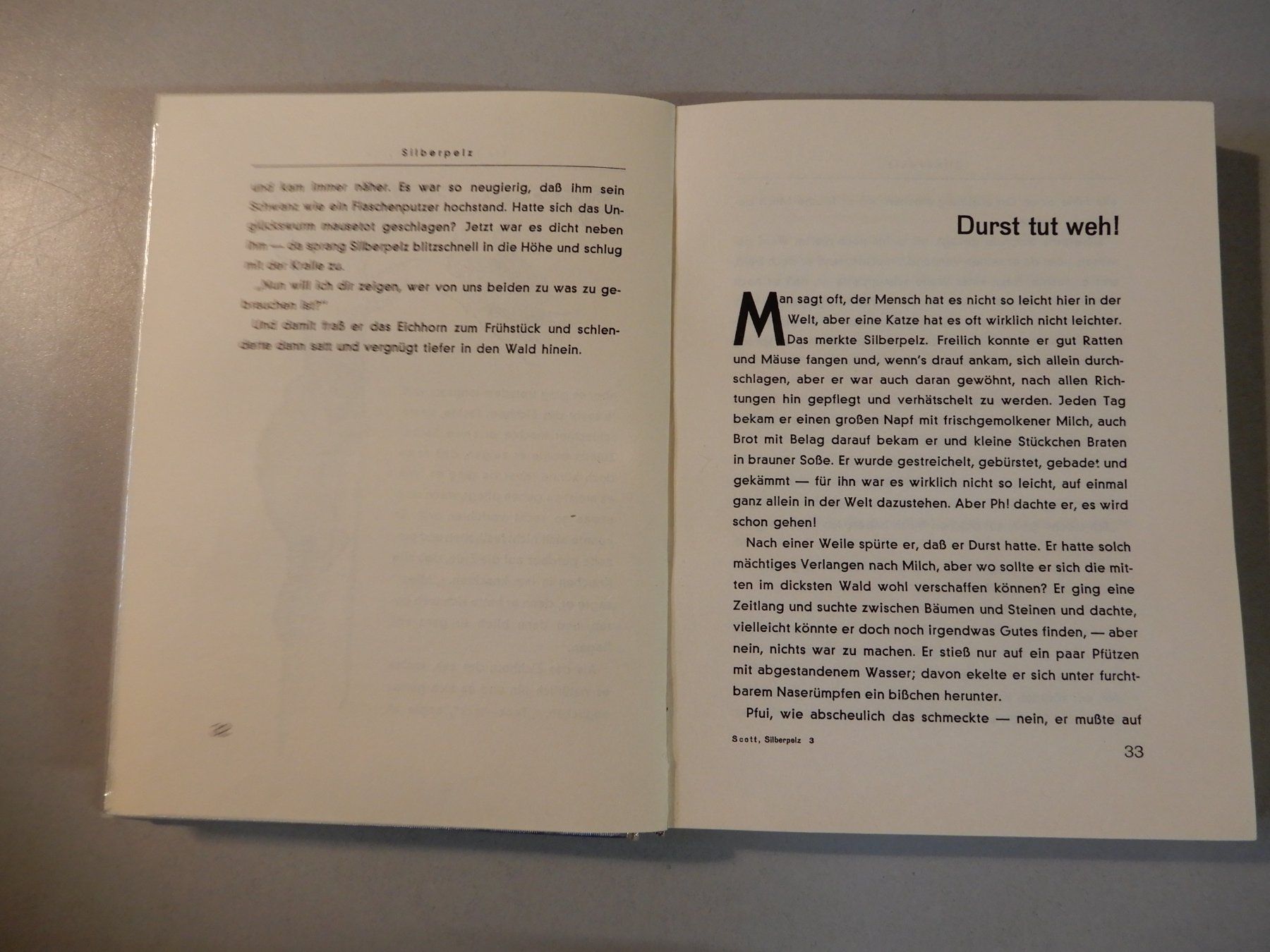 Libri: Silberpelz Abenteuer einer Katze, Gabriel Scott, 2. Auflage – Usato da Erstfeld venduto da Mario_boe0 5