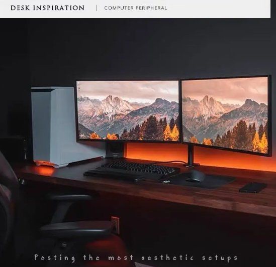 Support d'écran: Monitor Flatscreen Halterung Ständer Doppel Tischhalterung – Neuf avec emballage d'origine à Ermatingen par rik4rdo 4