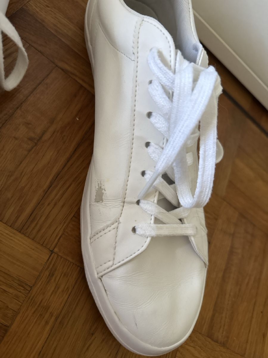 Chaussures hommes: Basket Lacoste – D'occasion à Cartigny par Kelly.11 4