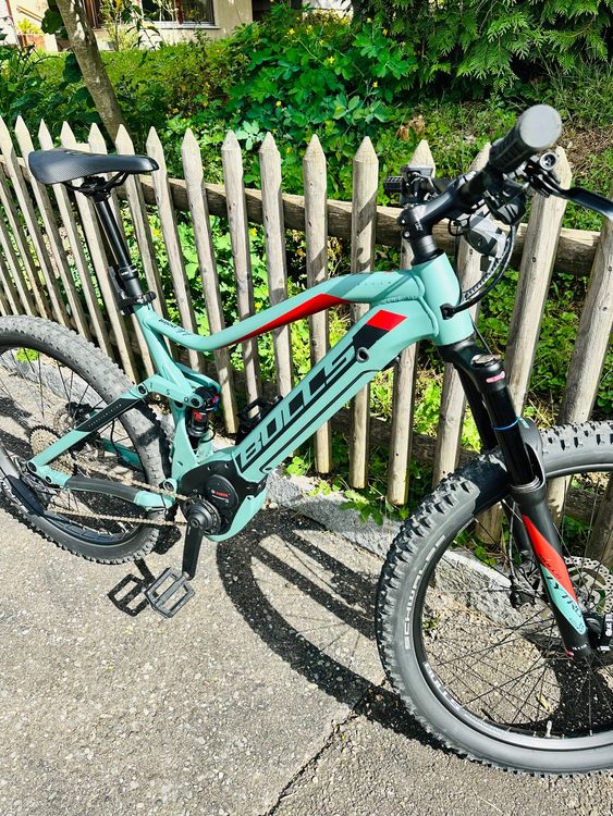 bulls six50 evo am 1