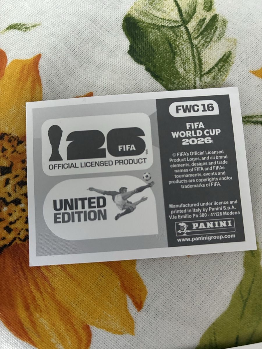 Panini Carte collezionabili: FIFA Brasil 2002 Sticker Panini United Edition – Usato da Wettingen venduto da ric_xm6x 1