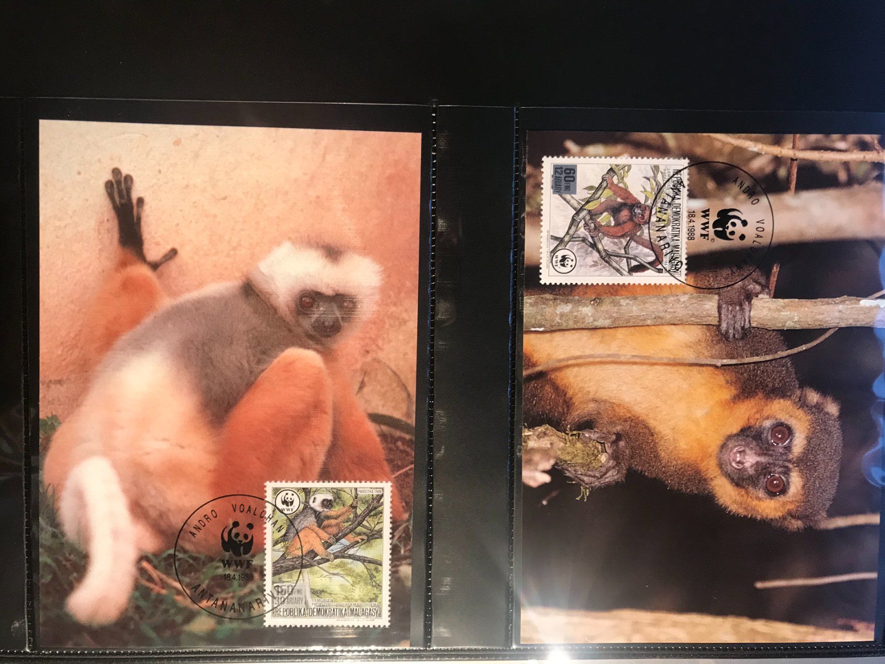 Tutti i francobolli: WWF Madagaskar 1988 Lemuren Affen Satz Maximumkarten – Nuovo (secondo la descrizione) da Liestal venduto da schnueps 1
