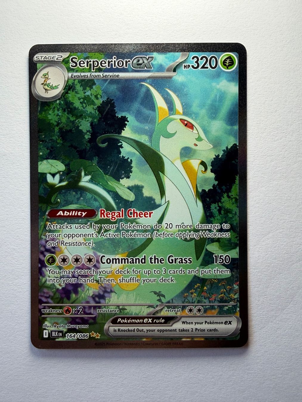Pokémon Carte collezionabili: Serperior ex 164/086 – Usato da Ilanz venduto da caui