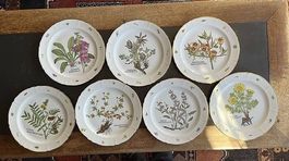 Assiettes plates
