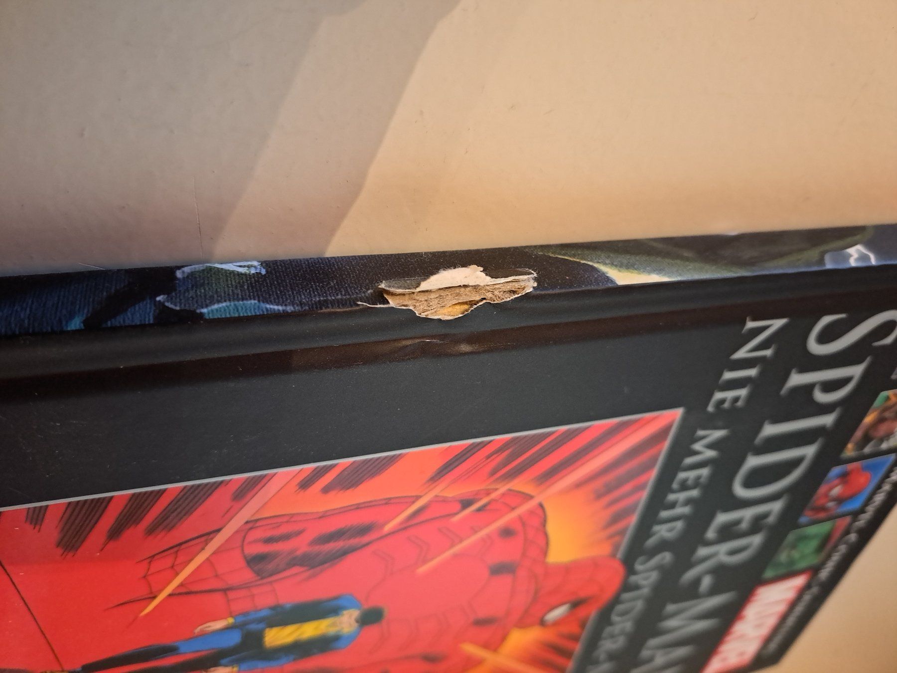 Comics: Offizielle Marvel Comic Sammlung, Buch 1-160 + Classics I-XL – Gebraucht aus Gersau von Kearnbaggenstos 7