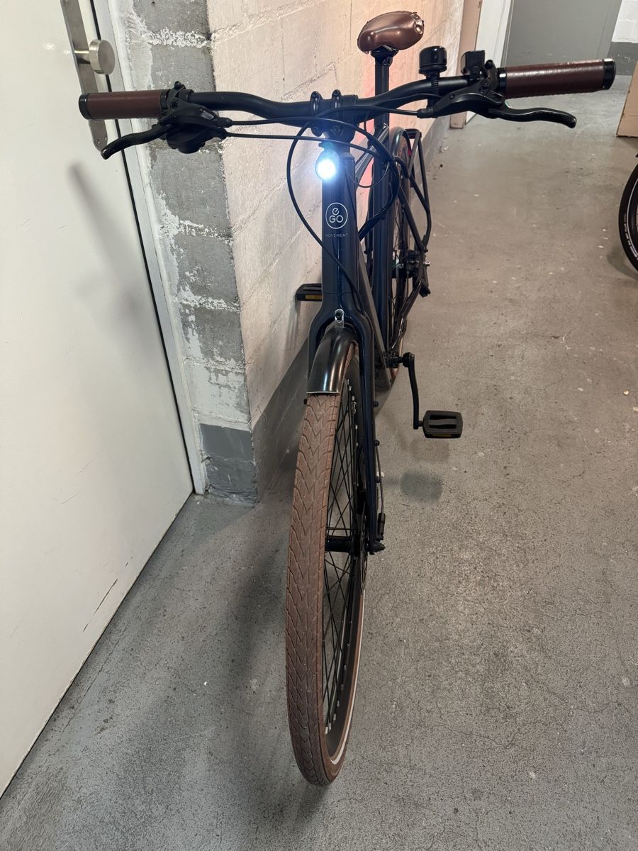 Vélos: E Bike Ego Movement – D'occasion à Wil SG par andi_aliaj 3