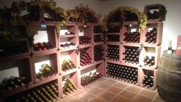 Weinregal aus Hydroton 56 Elemente