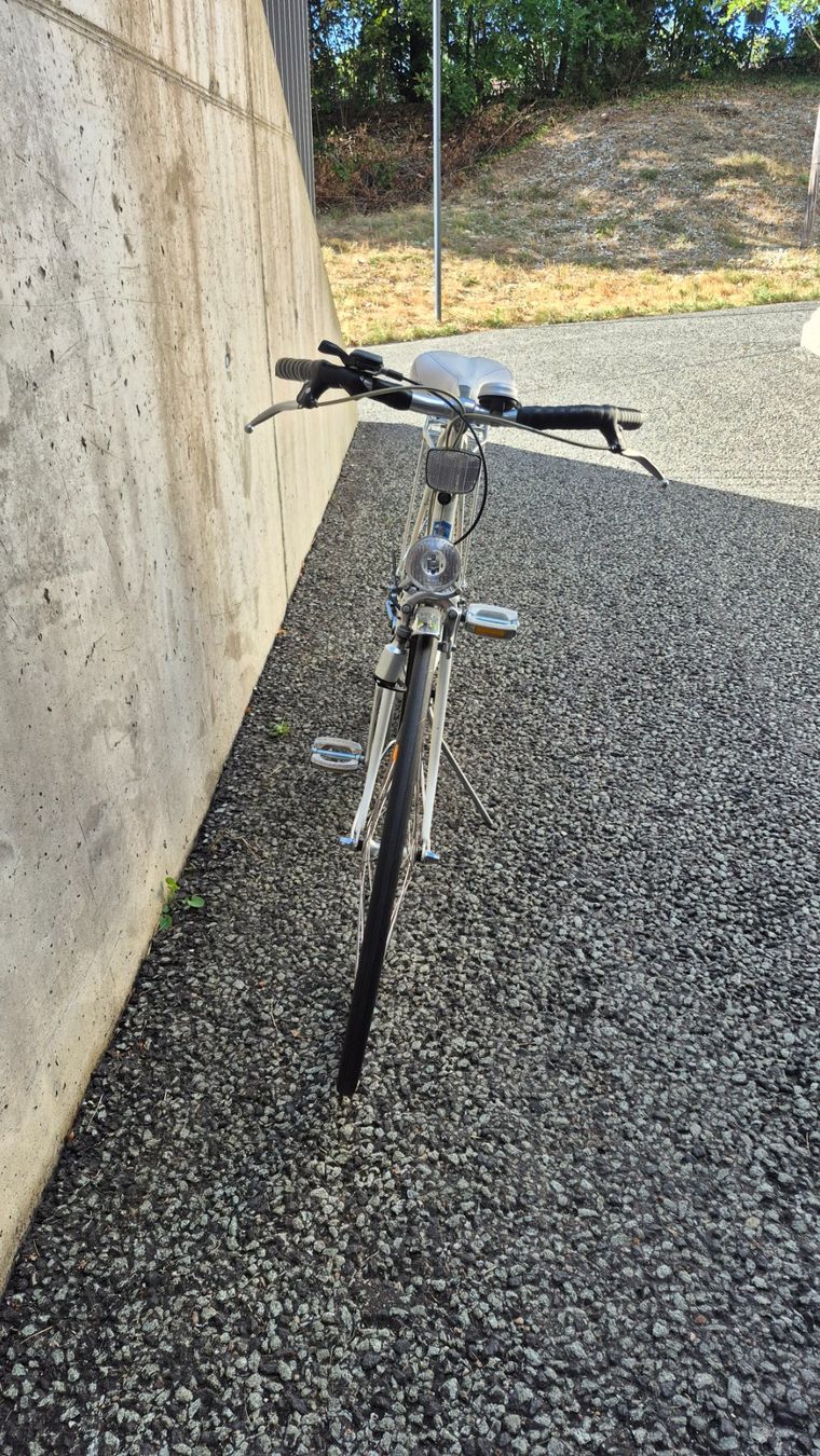 Biciclette: Damen-Citybike – Usato da Basel venduto da marv16 5
