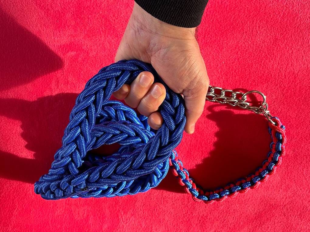 Leine & Halsband: Guinzaglio cane – Gebraucht aus Maroggia von Luca_Ferrario 1
