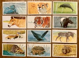 1978 - 12 Vintage VANISHING WILDLIFE  Sammelbilder England