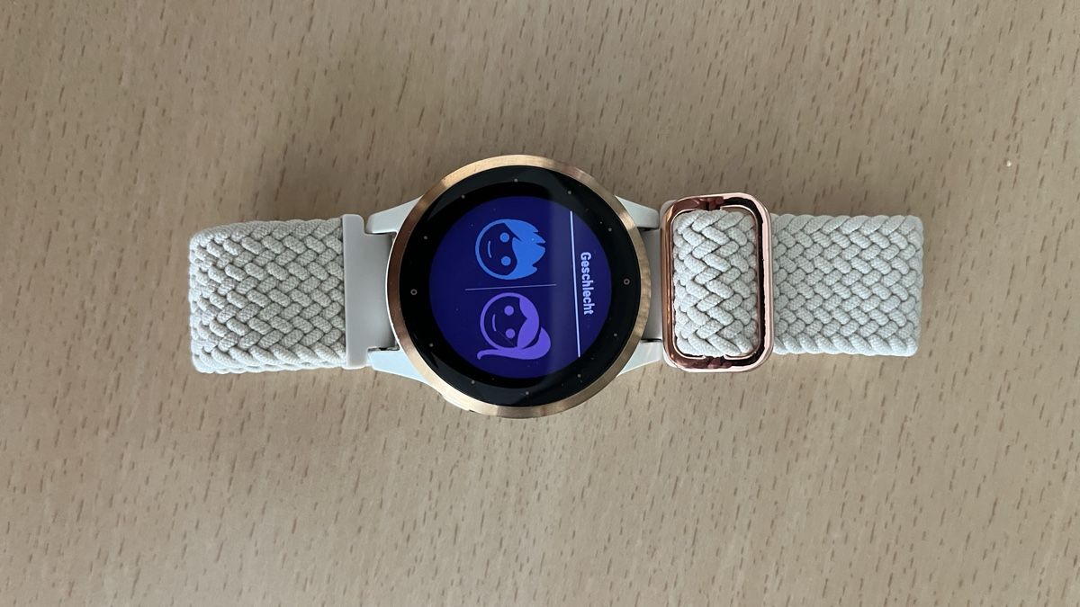 Garmin Smartwatch: GARMIN VIVOACTIVE 4 – D'occasion à Bergdietikon par Papageischtli