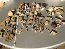 Versteinerungen und andere schöne Steine