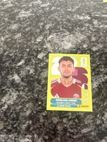 Panini Wm 2026 Qat 17