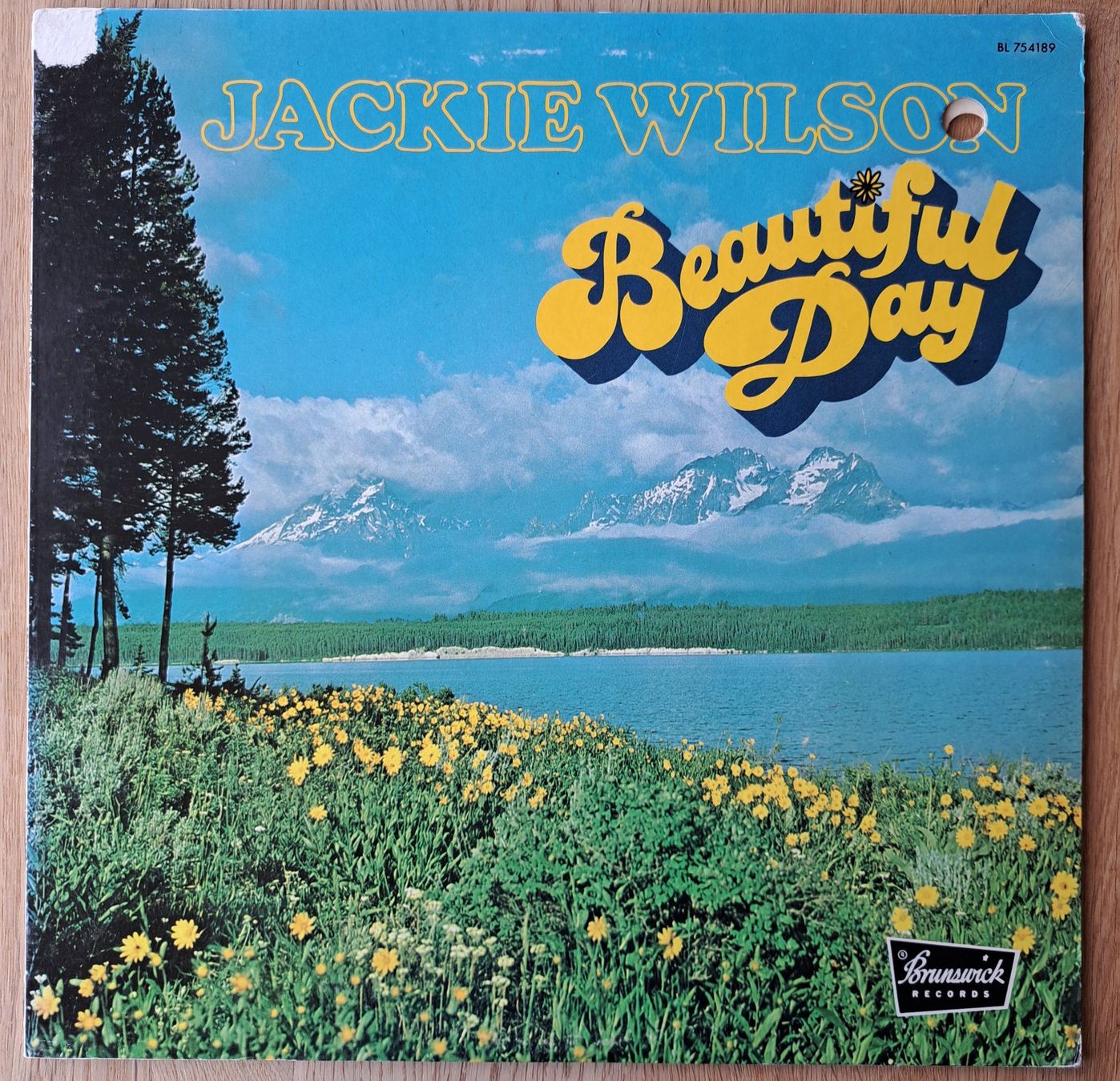 Dischi in vinile: Jackie Wilson - Beautiful Day – Usato da Meggen venduto da Ricardokoch