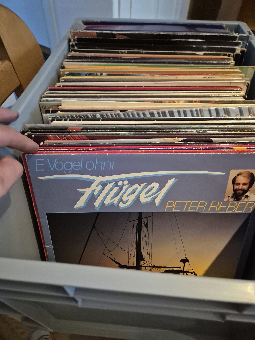 Dischi in vinile: Plattensammlung ca. 100 Stk – Usato da Hofstetten BE venduto da hillhood 1
