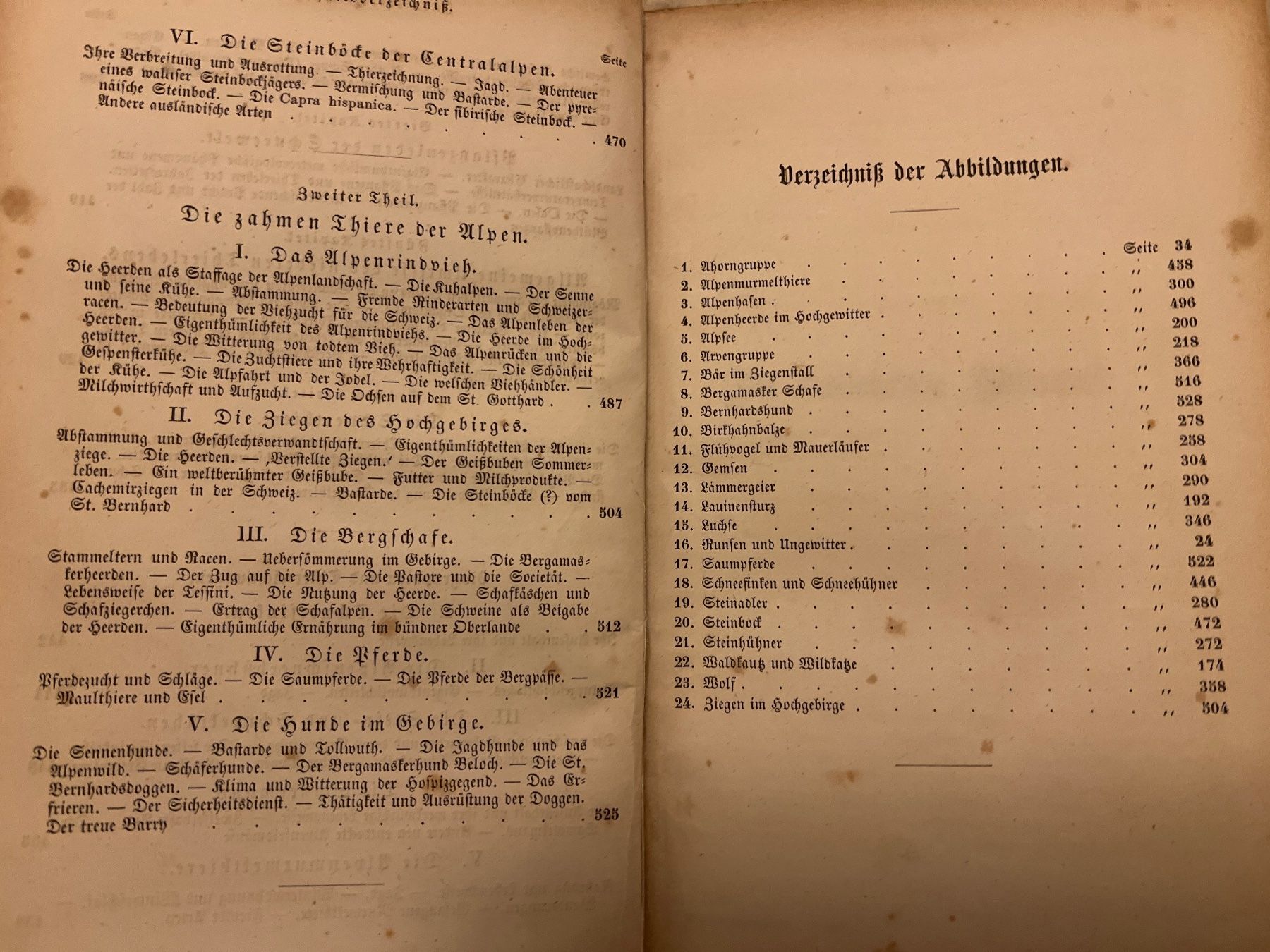 Bücher: Das Thierleben der Alpenwelt, Leipzig, 1860 – Gebraucht aus Endingen von chocosweet 2