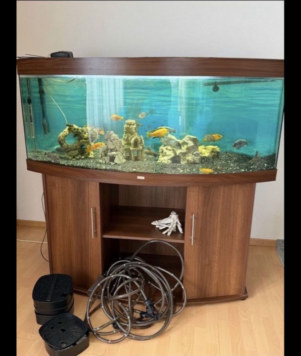 Acquari: Aquarium  – Usato da Schlieren venduto da KanGaL02
