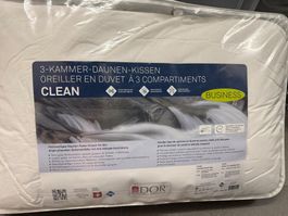 Zwei neue Kissen zum Preis von einem !