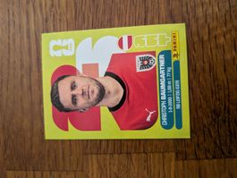 Panini Österreich 18
