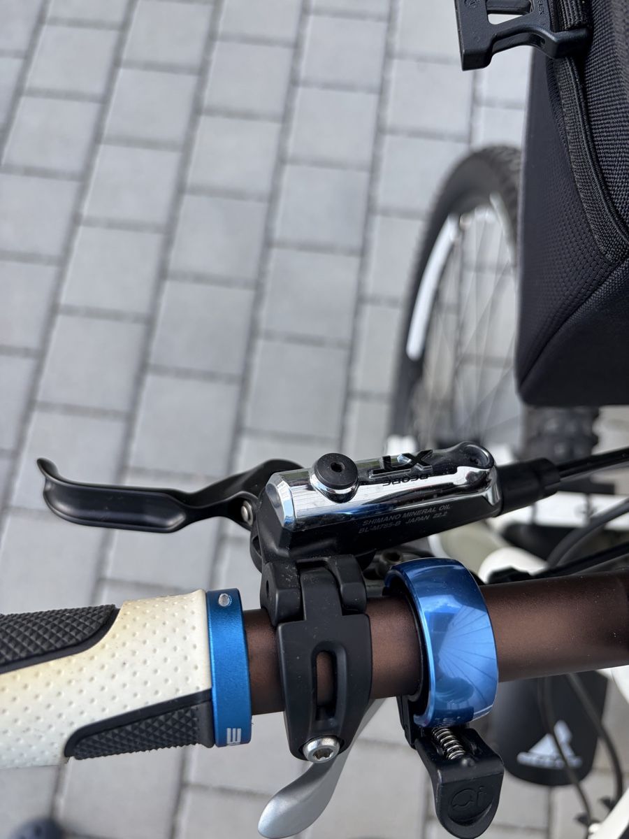 Bulls Biciclette: Bulls Wilde Edge He 29 Ws RH 46 Full – Usato da Schönholzerswilen venduto da rsm_6d2n 8