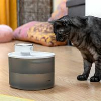 Trinkbrunnen für Haustiere, mit Akku und Sensor