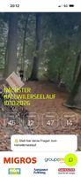2 Tickets für den Hallwilerseelauf am 10.10.26