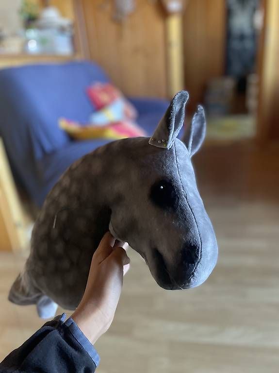 Spielzeuge: Hobby Horse HOCHWERTIG – Gebraucht aus Susten von Kht_formidable 2