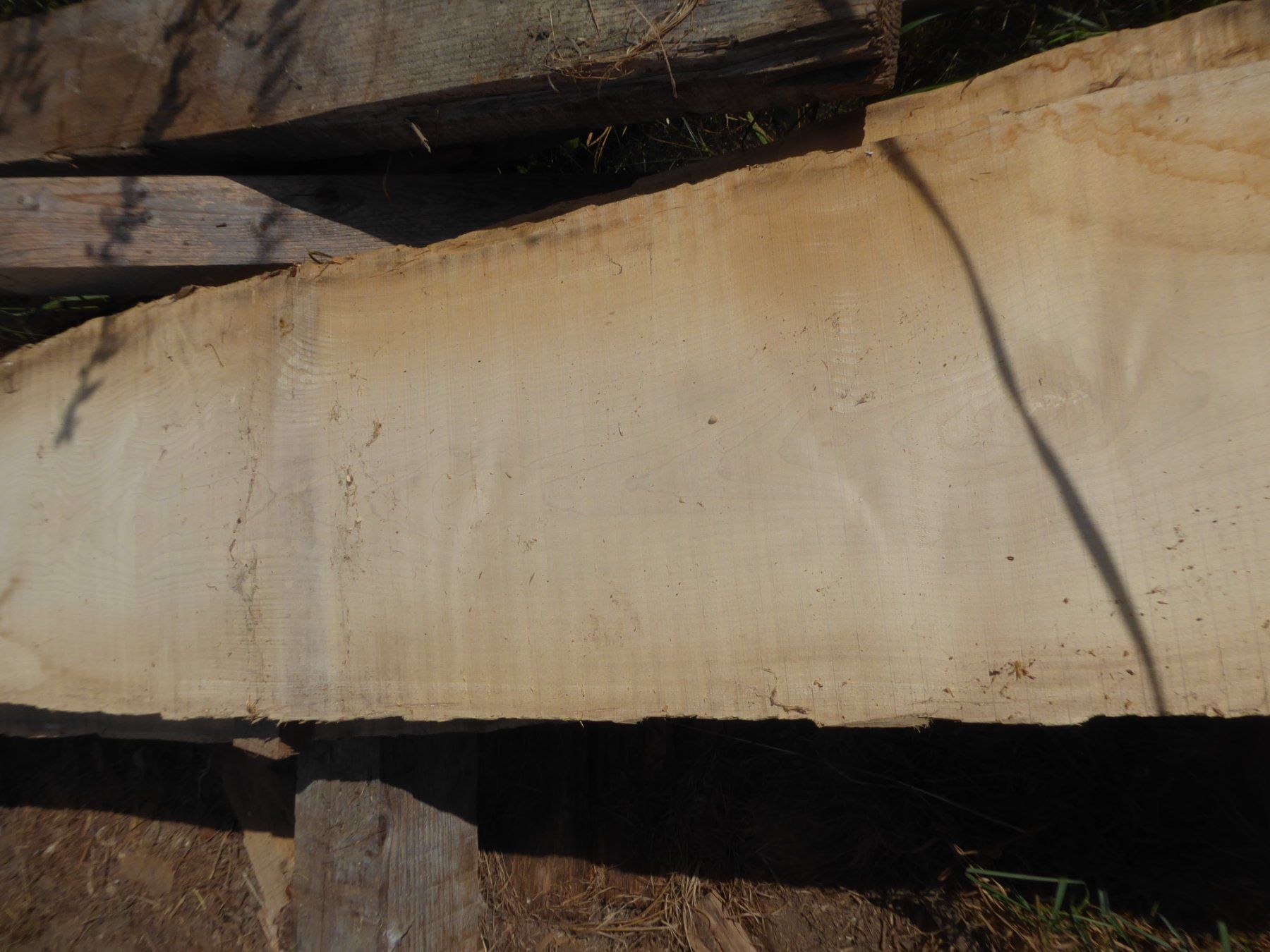 Articoli in legno: Eschenbrett 4 cm – Usato da Sumiswald venduto da Hennri1 1