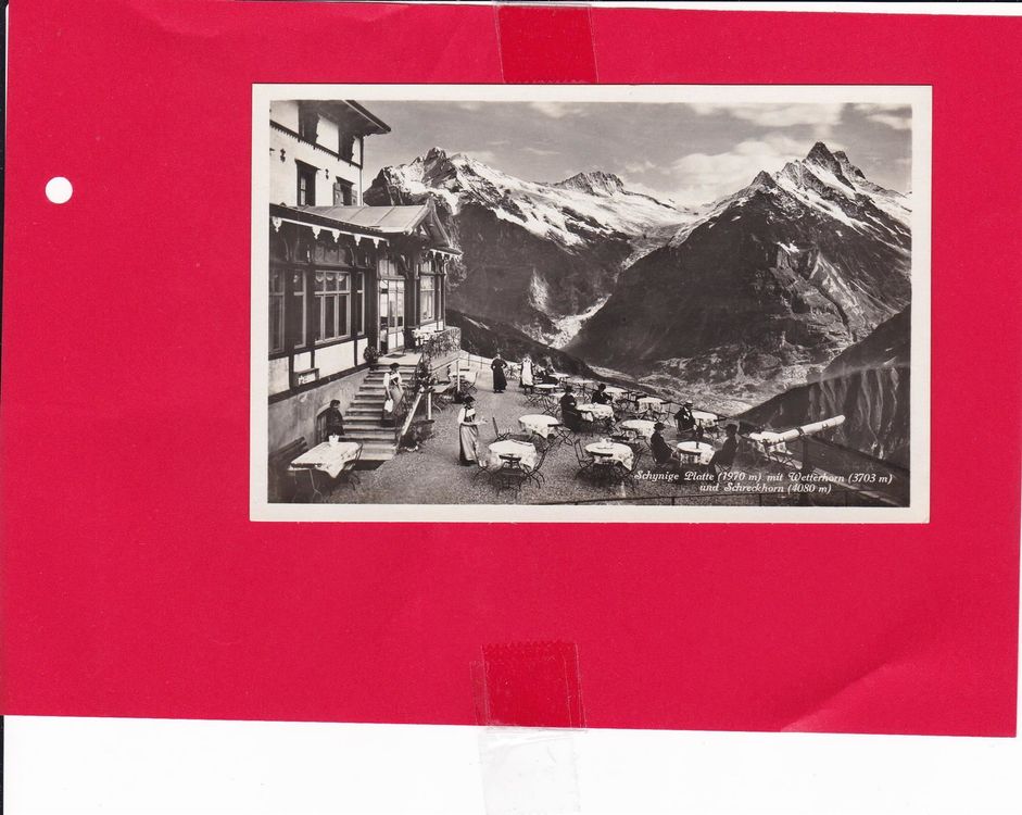 Schynige PlatteTerrassebelebt Kaufen auf Ricardo