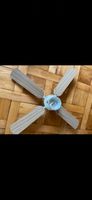 Decken Ventilator und Lampe