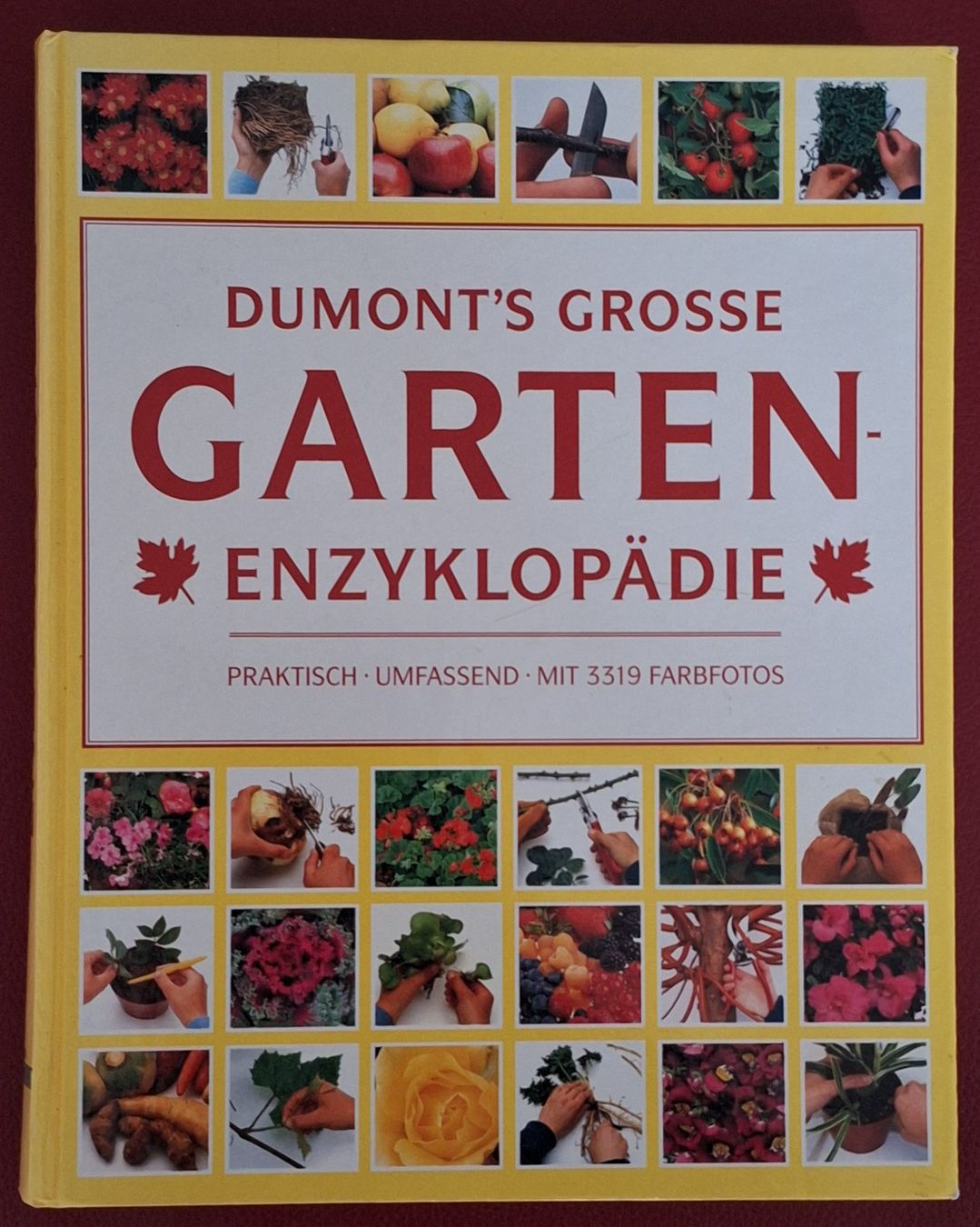 Libri: Buch Garten Enzyklopädie Dumont1994 – Usato da Oberriet SG venduto da Atir47
