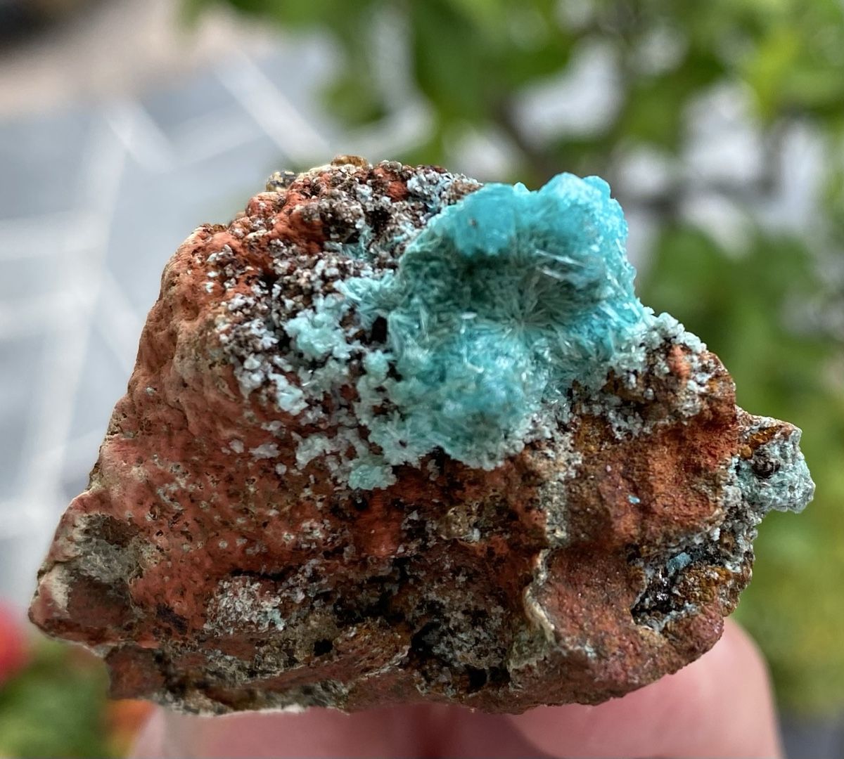 Mineralien & Heilsteine: Super Aurichalicit Mapimi Mexico  – Gebraucht aus Selzach von 321compac 3
