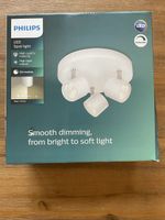 Deckenlampe Phillips LED Spot Light