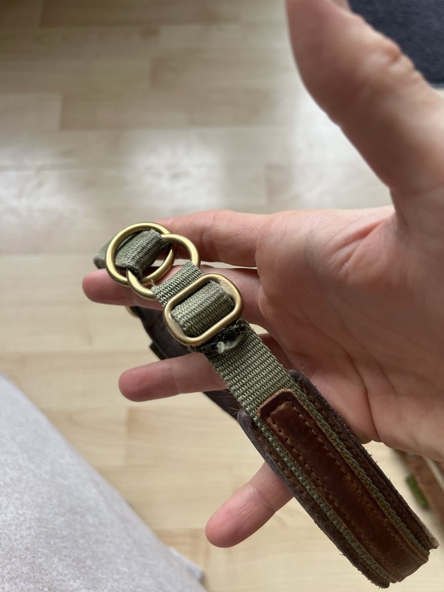 Leine & Halsband: Waldkautz Set Leine / Halsband – Gebraucht aus Rikon im Tösstal von Jenny_T3223 2