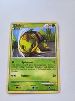 Chelast / Turtwig (Unleashed 67/95)