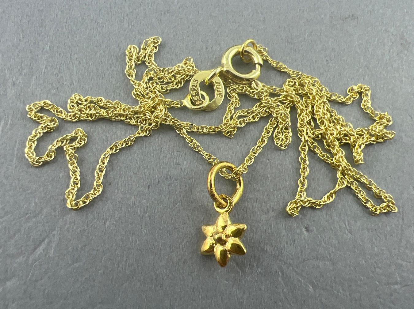 Catenine: Kette 925 Silber – Usato da Niederuzwil venduto da leo_8857