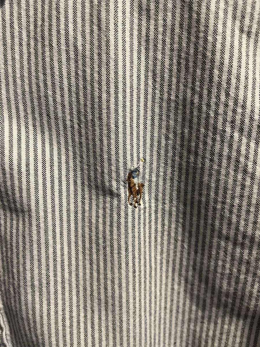 Ralph Lauren Camicie: Ralph Lauren Hemd – Nuovo (secondo la descrizione) da Zürich venduto da mol_k9kk 1